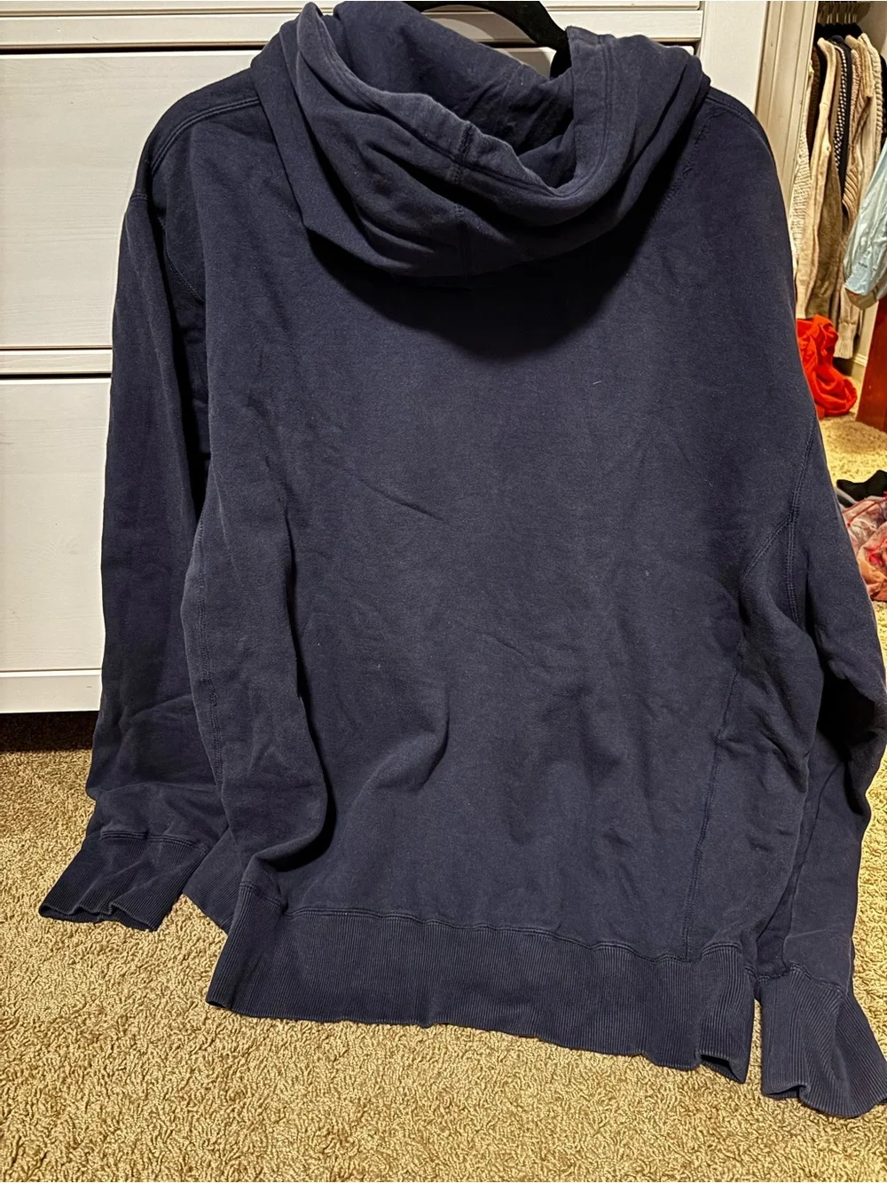 Vintage Nike Illinois hoodie